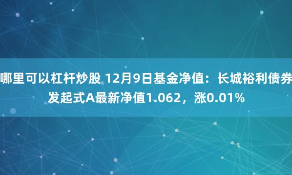 哪里可以杠杆炒股 12月9日基金净值：长城裕利债券发起式A最新净值1.062，涨0.01%