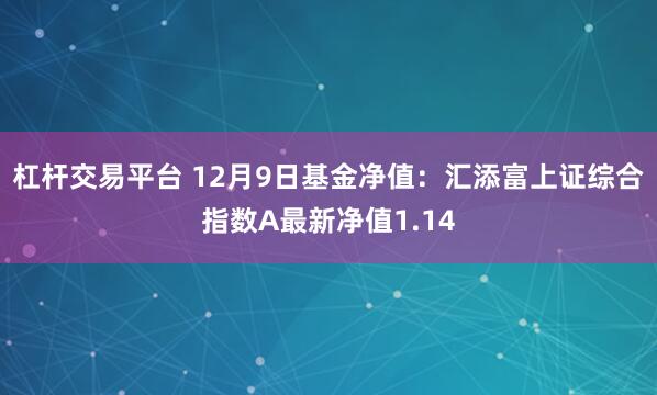 杠杆交易平台 12月9日基金净值：汇添富上证综合指数A最新净值1.14