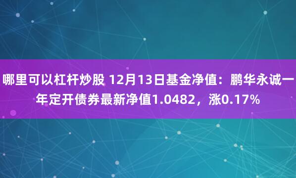 哪里可以杠杆炒股 12月13日基金净值：鹏华永诚一年定开债券最新净值1.0482，涨0.17%