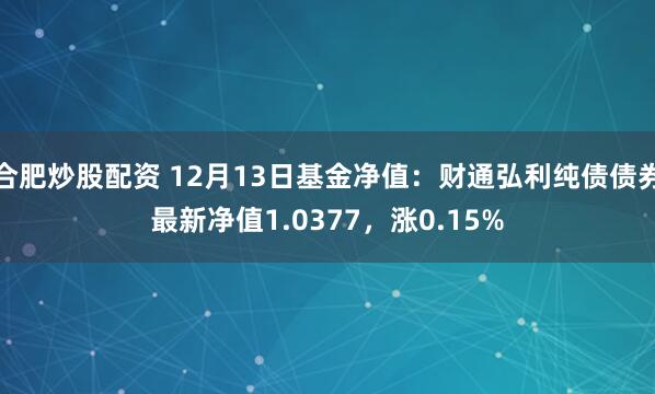 合肥炒股配资 12月13日基金净值：财通弘利纯债债券最新净值1.0377，涨0.15%