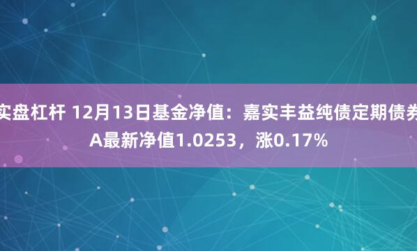 实盘杠杆 12月13日基金净值：嘉实丰益纯债定期债券A最新净值1.0253，涨0.17%