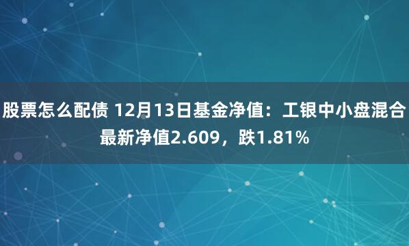 股票怎么配债 12月13日基金净值：工银中小盘混合最新净值2.609，跌1.81%