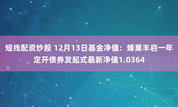 短线配资炒股 12月13日基金净值：蜂巢丰启一年定开债券发起式最新净值1.0364