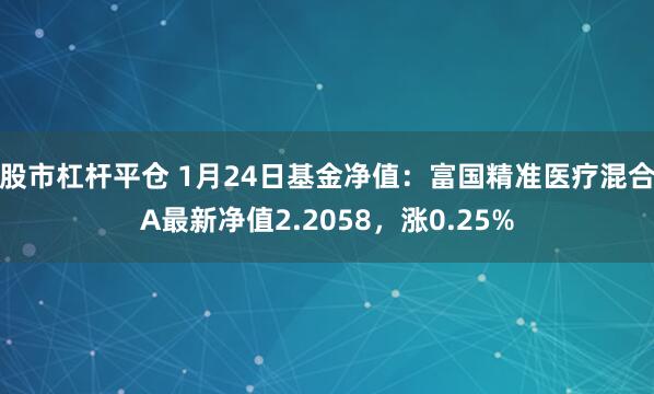 股市杠杆平仓 1月24日基金净值：富国精准医疗混合A最新净值2.2058，涨0.25%