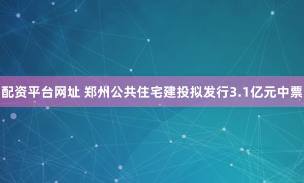 配资平台网址 郑州公共住宅建投拟发行3.1亿元中票