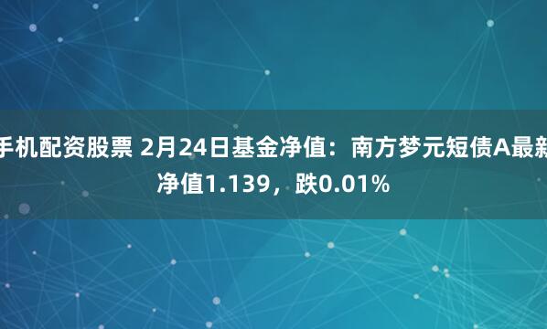 手机配资股票 2月24日基金净值：南方梦元短债A最新净值1.139，跌0.01%