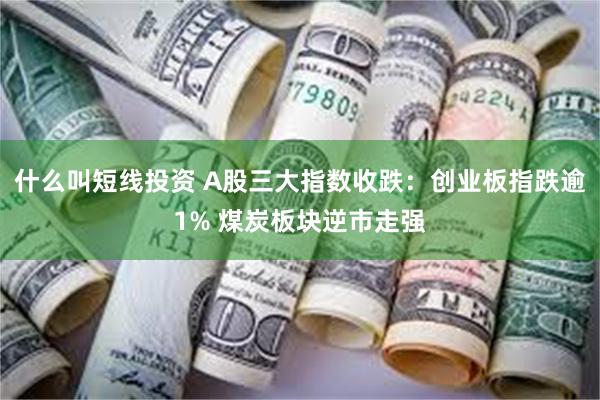 什么叫短线投资 A股三大指数收跌：创业板指跌逾1% 煤炭板块逆市走强