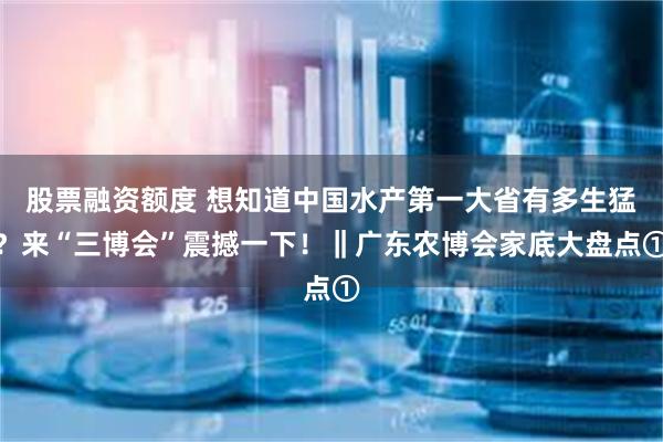 股票融资额度 想知道中国水产第一大省有多生猛?来“三博会”震撼一下!‖广东农博会家底大盘点①