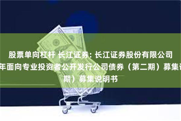 股票单向杠杆 长江证券: 长江证券股份有限公司2025年面向专业投资者公开发行公司债券（第二期）募集说明书
