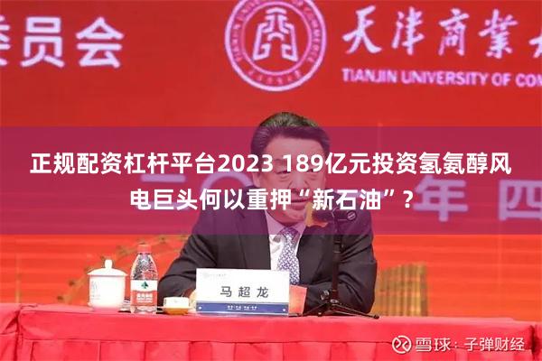 正规配资杠杆平台2023 189亿元投资氢氨醇风电巨头何以重押“新石油”？